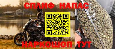 прущие крисы Бийск