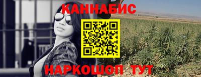 прущие крисы Бийск