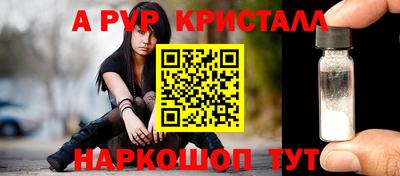 прущие грибы Канаш
