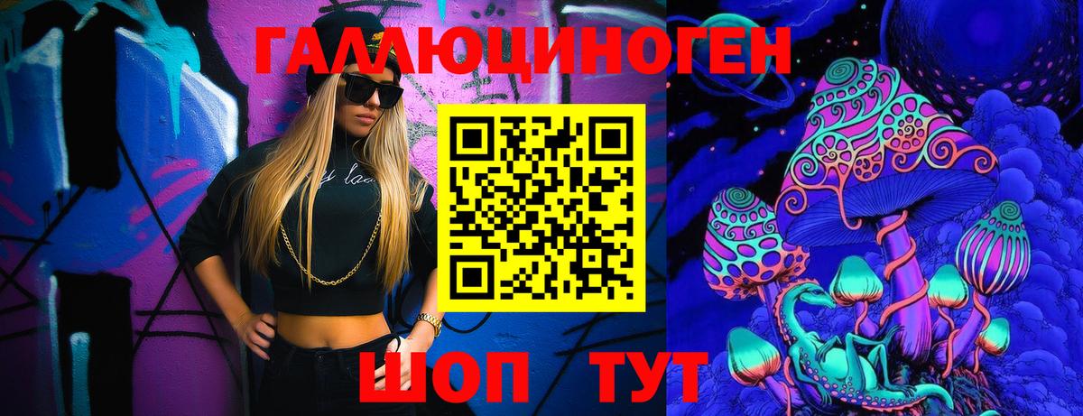 Псилоцибиновые грибы Psilocybine cubensis Чебоксары